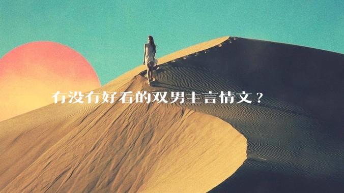 有没有好看的双男主言情文?