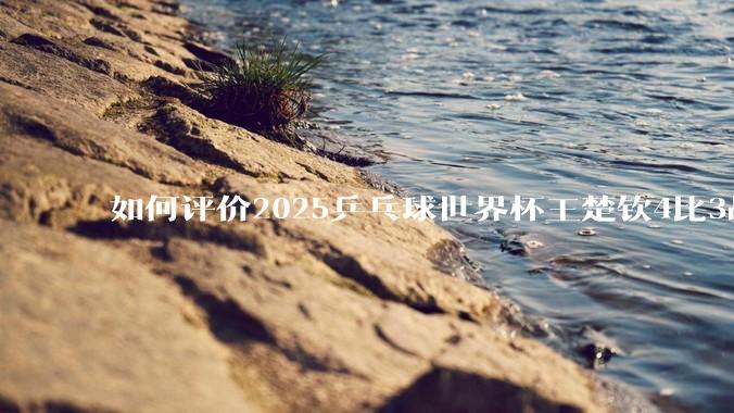 如何评价2025乒乓球世界杯王楚钦4比3战胜杜达这场比赛?